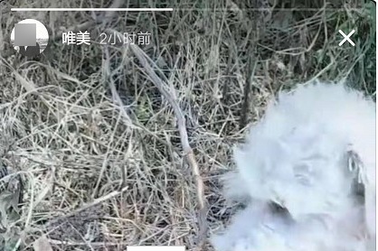 1629443816109274.png image.png