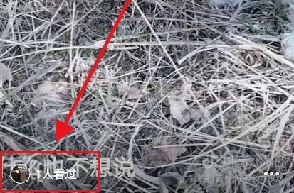 1629443834265118.png image.png