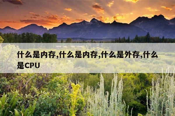 什么是内存,什么是内存,什么是外存,什么是CPU