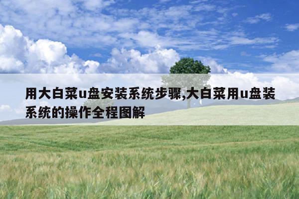 用大白菜u盘安装系统步骤,大白菜用u盘装系统的操作全程图解