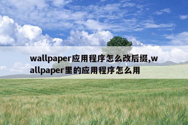 wallpaper应用程序怎么改后缀,wallpaper里的应用程序怎么用