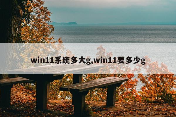 win11系统多大g,win11要多少g