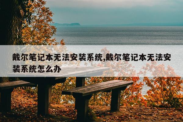 戴尔笔记本无法安装系统,戴尔笔记本无法安装系统怎么办