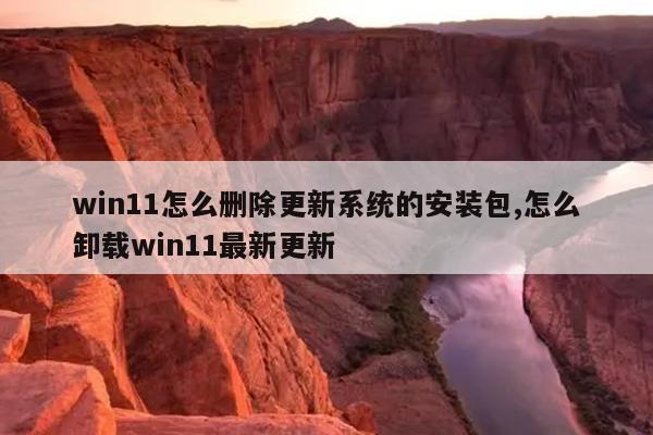 win11怎么删除更新系统的安装包,怎么卸载win11最新更新