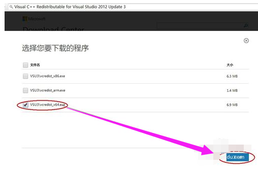 计算机中丢失msvcr110,详细教您无法启动