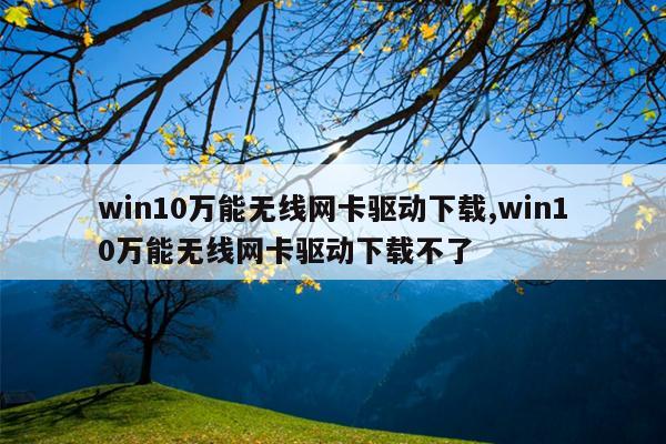 win10万能无线网卡驱动下载,win10万能无线网卡驱动下载不了