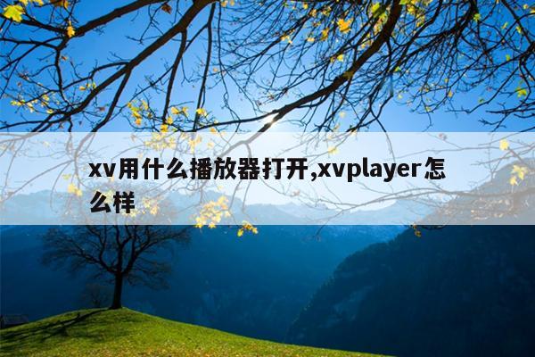 xv用什么播放器打开,xvplayer怎么样