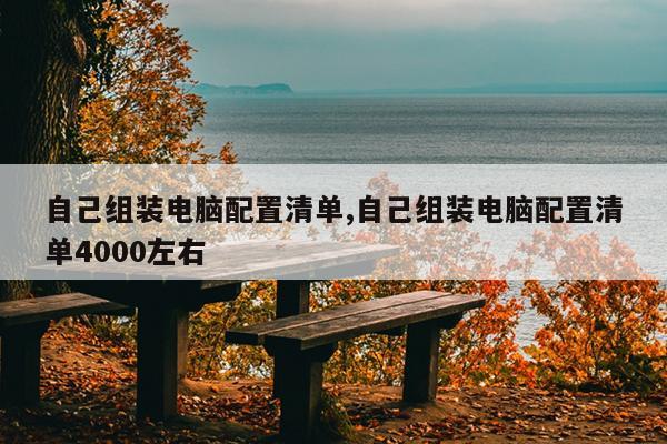 自己组装电脑配置清单,自己组装电脑配置清单4000左右