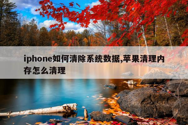 iphone如何清除系统数据,苹果清理内存怎么清理