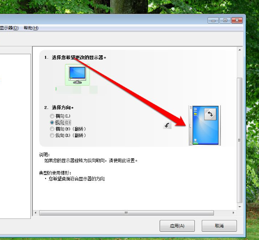 1636618311810417.png image.png