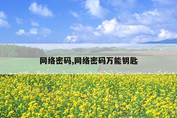 网络密码,网络密码万能钥匙