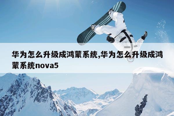 华为怎么升级成鸿蒙系统,华为怎么升级成鸿蒙系统nova5