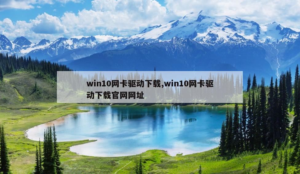 win10网卡驱动下载,win10网卡驱动下载官网网址