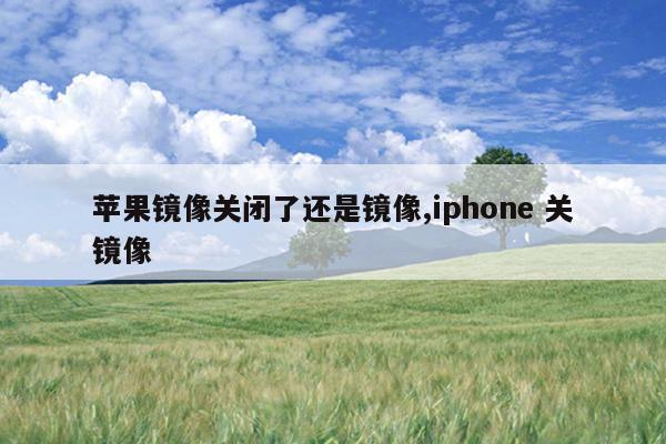 苹果镜像关闭了还是镜像,iphone 关镜像