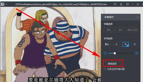 暴风影音字幕 暴风影音字幕