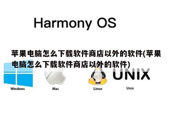 苹果电脑怎么下载软件商店以外的软件(苹果电脑怎么下载软件商店以外的软件)