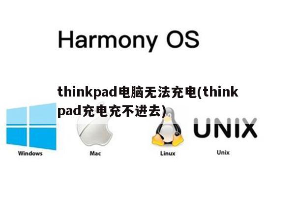 thinkpad电脑无法充电(thinkpad充电充不进去)