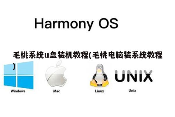 毛桃系统u盘装机教程(毛桃电脑装系统教程)