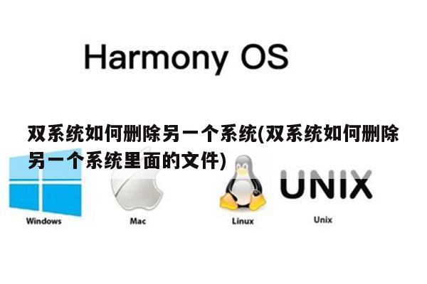 双系统如何删除另一个系统(双系统如何删除另一个系统里面的文件)