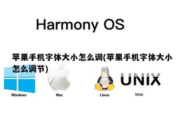 苹果手机字体大小怎么调(苹果手机字体大小怎么调节)