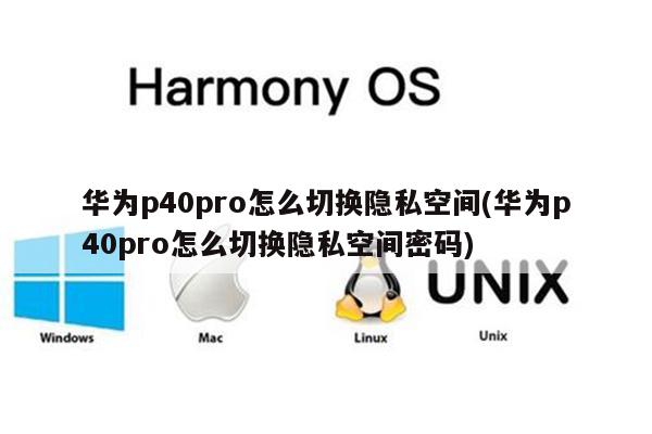 华为p40pro怎么切换隐私空间(华为p40pro怎么切换隐私空间密码)