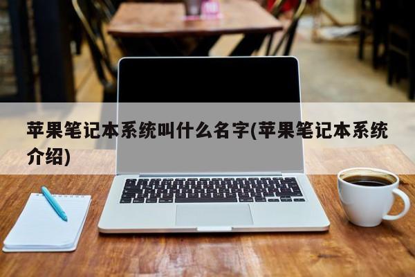 苹果笔记本系统叫什么名字(苹果笔记本系统介绍)
