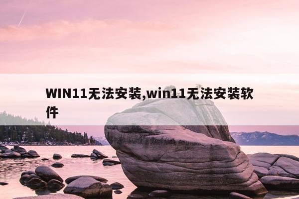 WIN11无法安装,win11无法安装软件