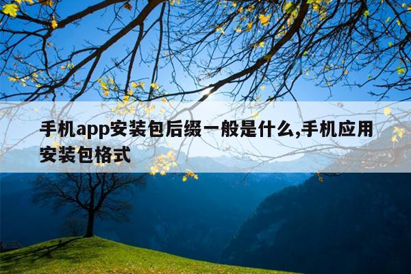手机app安装包后缀一般是什么,手机应用安装包格式