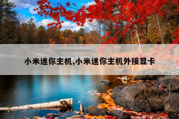 小米迷你主机,小米迷你主机外接显卡