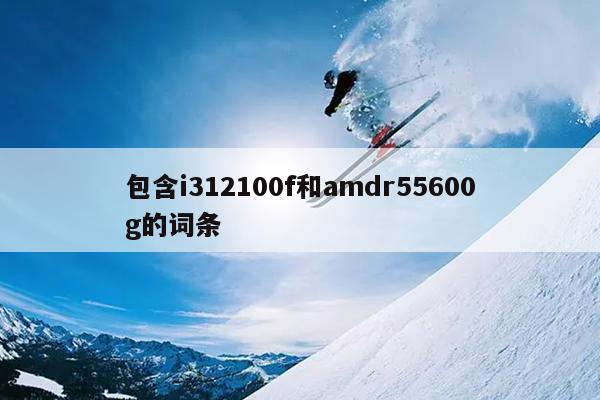 包含i312100f和amdr55600g的词条