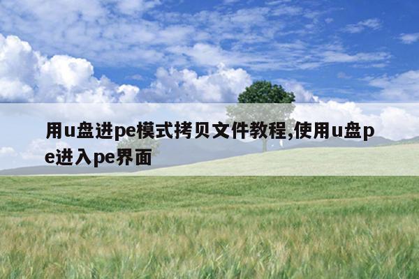 用u盘进pe模式拷贝文件教程,使用u盘pe进入pe界面