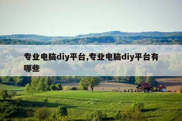 专业电脑diy平台,专业电脑diy平台有哪些