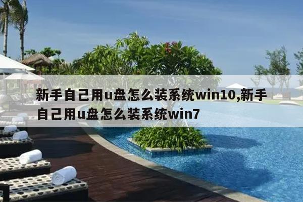 新手自己用u盘怎么装系统win10,新手自己用u盘怎么装系统win7