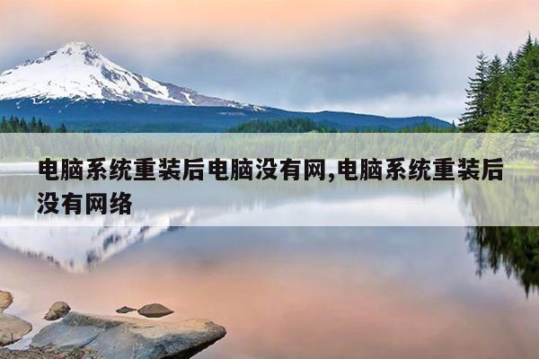 电脑系统重装后电脑没有网,电脑系统重装后没有网络