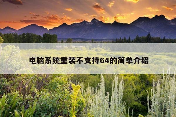 电脑系统重装不支持64的简单介绍