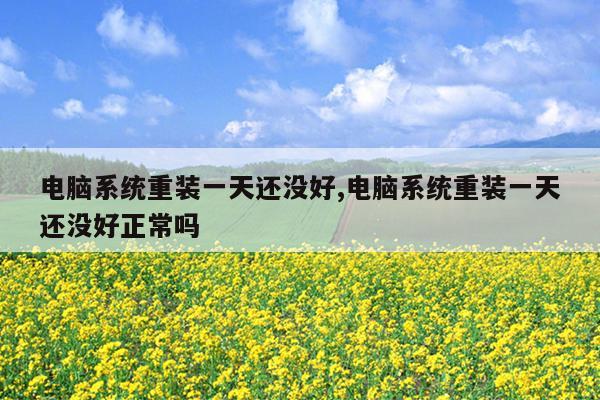 电脑系统重装一天还没好,电脑系统重装一天还没好正常吗
