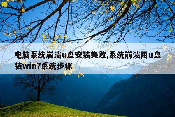 电脑系统崩溃u盘安装失败,系统崩溃用u盘装win7系统步骤