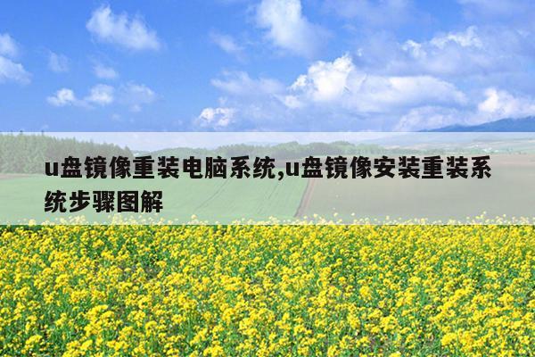 u盘镜像重装电脑系统,u盘镜像安装重装系统步骤图解