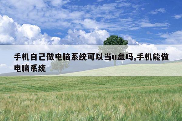 手机自己做电脑系统可以当u盘吗,手机能做电脑系统