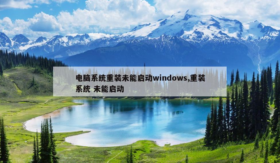 电脑系统重装未能启动windows,重装系统 未能启动