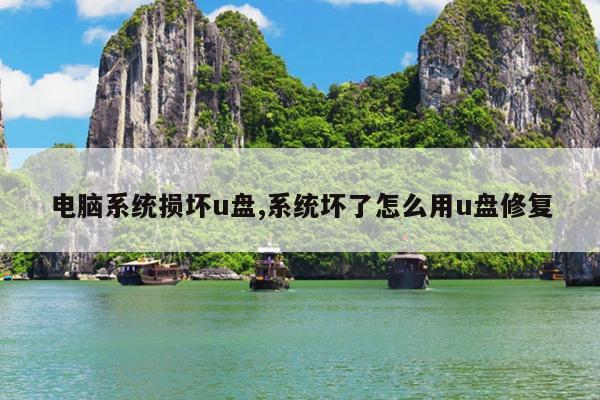电脑系统损坏u盘,系统坏了怎么用u盘修复