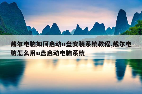 戴尔电脑如何启动u盘安装系统教程,戴尔电脑怎么用u盘启动电脑系统