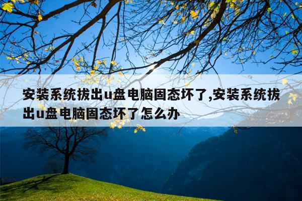 安装系统拔出u盘电脑固态坏了,安装系统拔出u盘电脑固态坏了怎么办