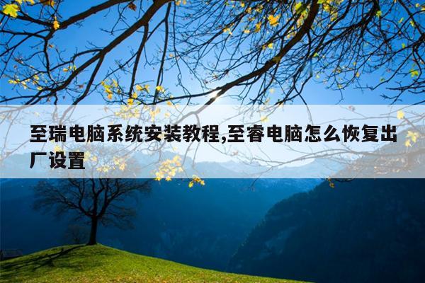 至瑞电脑系统安装教程,至睿电脑怎么恢复出厂设置