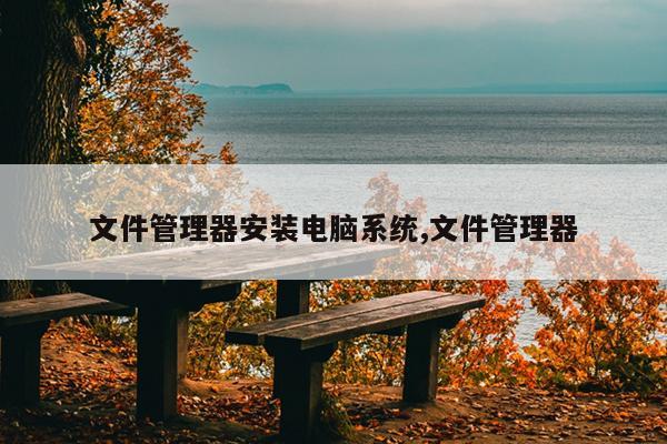 文件管理器安装电脑系统,文件管理器