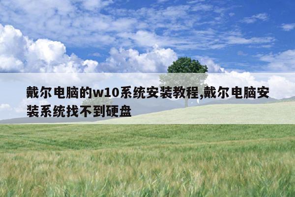 戴尔电脑的w10系统安装教程,戴尔电脑安装系统找不到硬盘