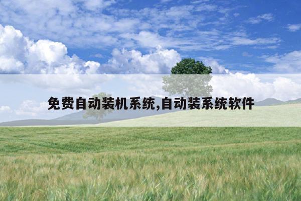 免费自动装机系统,自动装系统软件