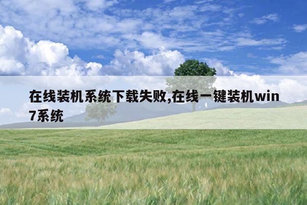 在线装机系统下载失败,在线一键装机win7系统
