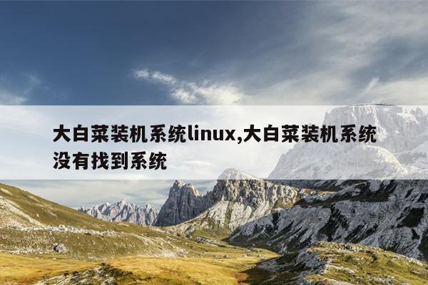 大白菜装机系统linux,大白菜装机系统没有找到系统