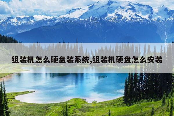 组装机怎么硬盘装系统,组装机硬盘怎么安装